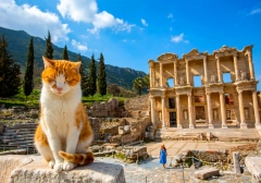 Kusadasi Shore Excursion Ephesus Tours