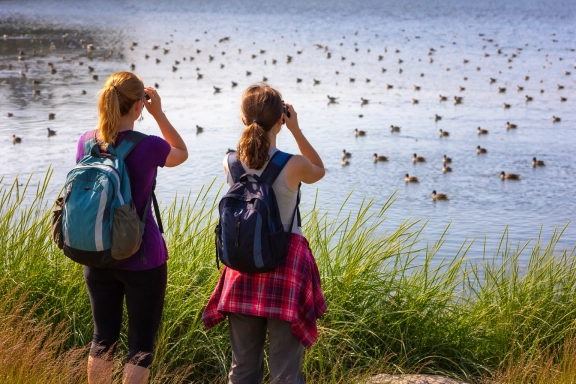 Bird Watching Tour at Ephesus and Meandros Valley