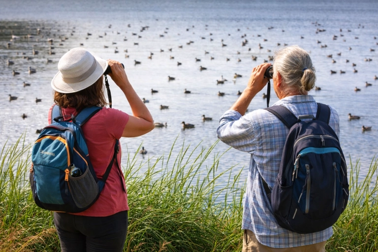 Lake Gebekirse Birdwatching