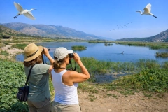 Lake Gebekirse Wetland Area