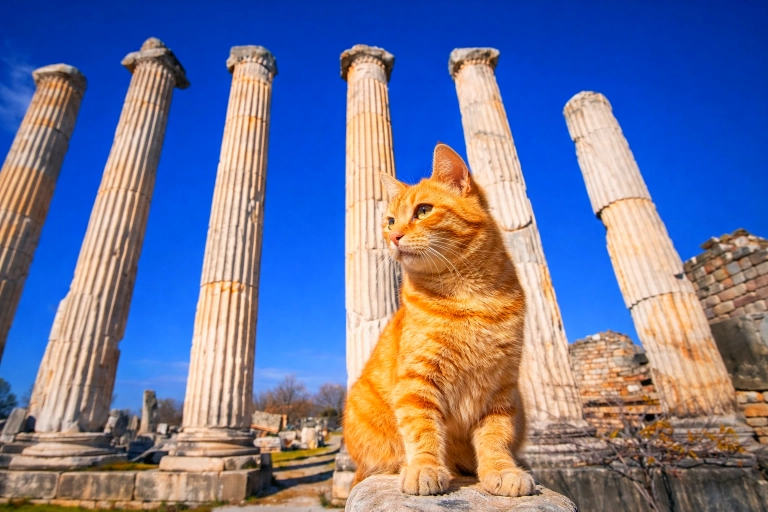 Aphrodisias Ancient City