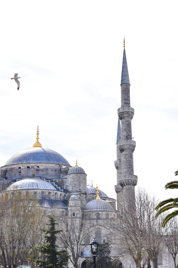 Blue Mosque - Istanbul