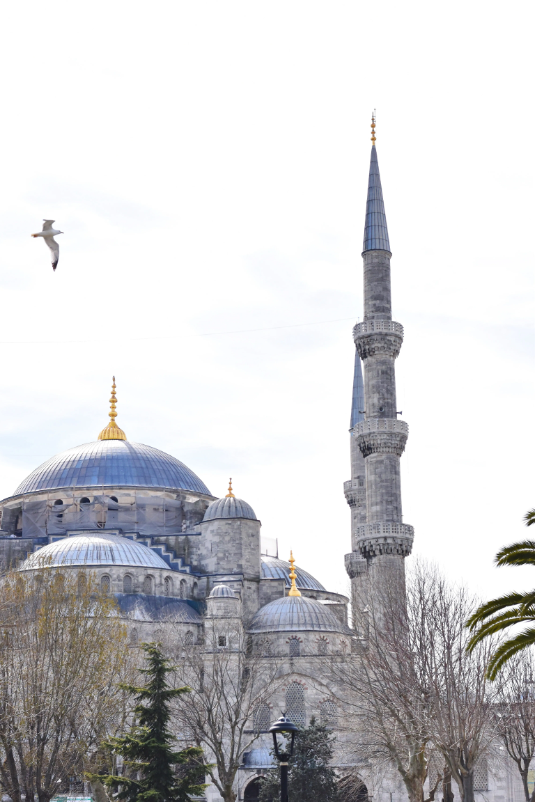 Blue Mosque - Istanbul