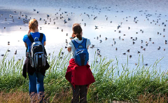 Bird Watching Tour at Ephesus and Meandros Valley