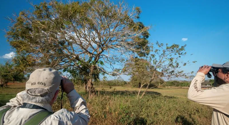 Bird Watching, Meandros River and Meandros Basin, Izmir, Turkey