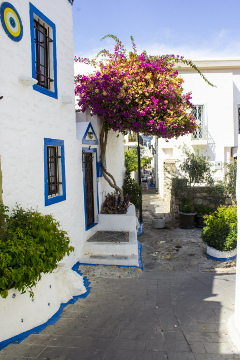Bodrum Castle and Mausoleum Tour
